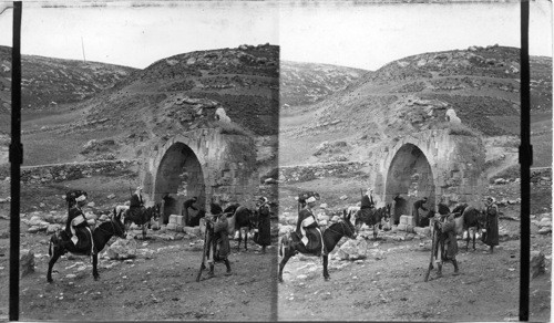 The sunny spring of En.-Schemes. Palestine. “Suni-Spring” Jericho Road