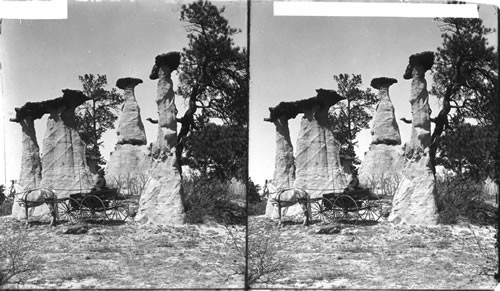 "Dutch Wedding" Garden of the Gods, Colo