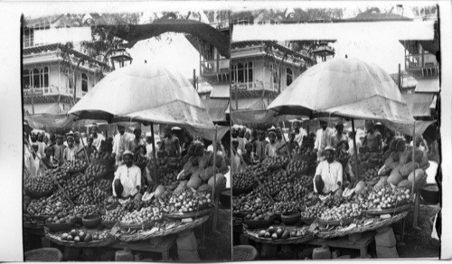 India. Your Money’s Wroth of juicy fruit at a Stand on Chandni Chouk (Silver Street) Delhi