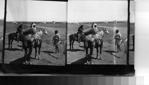 Groups of Indians on Sight [Side] Line between sham battles. Fort Belknap Reservation, Mont., July 1906