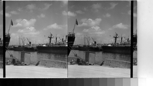 Docks at Houston, Tex