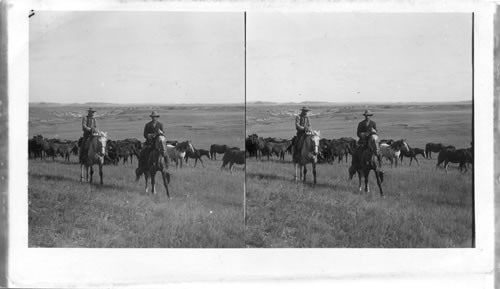 Holding a bunch of horses, North Dakota