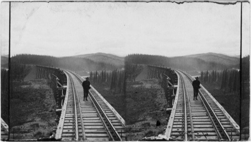 Riley Creek Bridge over the Alaska R.R