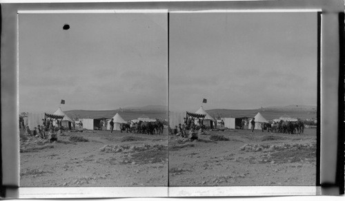 General view of our camp. Palestine
