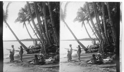 On the palm bordered beach at San Nicholas. Philippine Islands