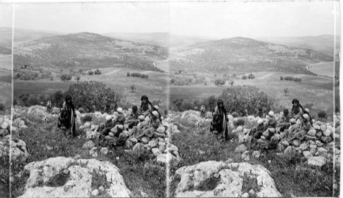 The Hills of Samaria, Palestine