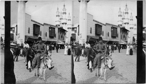 The Camels are Coming, Streets of Cairo, Pan American Exposition