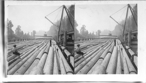 Telephone Poles. Washington