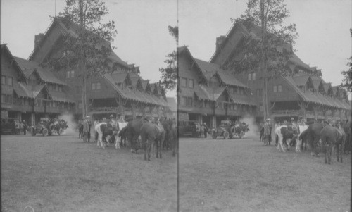 Auto Bus Leaving Old Faithful Inn Showing Saddle Horses Waiting for Party