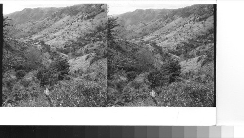 PUERTO RICO, Between Cayey and Salinas: Looking south thro [through] the pase, as the mountain highway twists and turns down toward the coastal plains of the south. Sawders, 1949