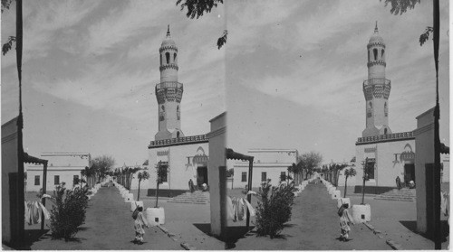 Angels Egyptian mosque and best houses - Wady Halfa. Egypt