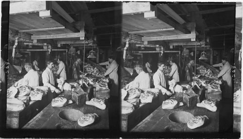 Preparing hams for the Market - Trimming and Skinning before Pickling, Swift & Co