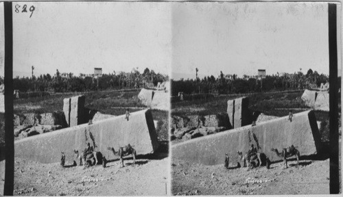 Big Stone Quarries at Baalbes, showing Temple of the Sun in background. Syria