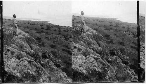 Eastern Shores of Sea of Galilee, (South). Palestine, Asia