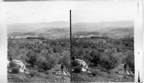 Plain of Dotham, where Joseph was sold to the Ishmaelites, Palestine