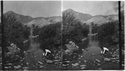 Brook of Cherith. Palestine. Asia