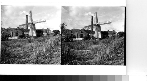 British West Indies - Island of Barbados: On the southern end of Barbados stands the only old-type sugar mill with its wooden fans still intact and in use. Behind it is one of the many small sugar factories in operation around the island. Sawders, 1949