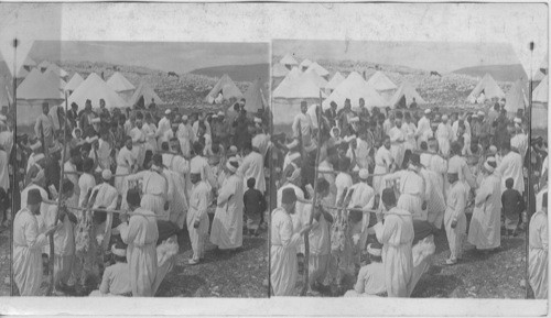 The Passover as Celebrated Today by the Samaritans, Mt. Gerizin, Palestine