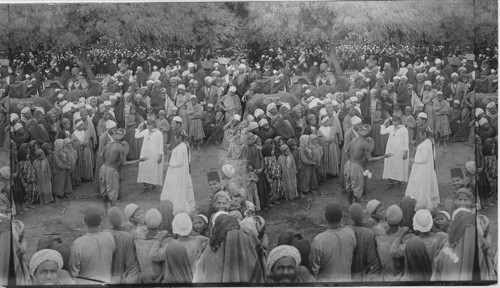 Alikaka Dancers. Zakazik. Egypt