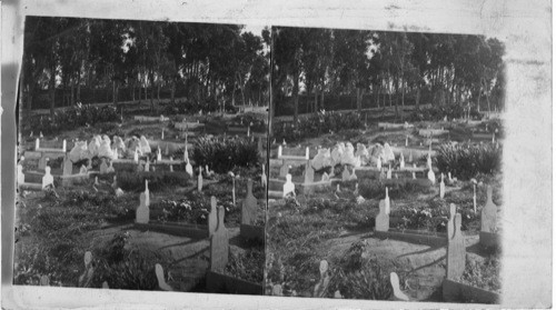 Mourning women beside the graves of their forefathers, Arab Cemetery El Katar Algiers, Africa