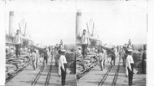 Loading Steamer from United States Ports, Maracaibo, Venezuela