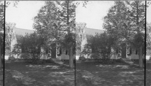 Webster Cottage, Hanover, N. H. Also house in which was born Mr. Henry Durant, Founder of Wellesley College