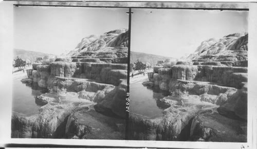 Cleopatra Terraces, the most beautiful in the Park. Mammoth Hot Springs