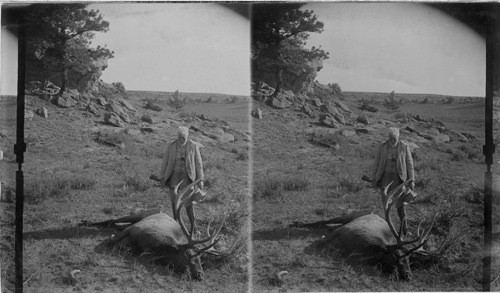 The End of the - Elk Hunt. Mont. [Man standing over downed buck]