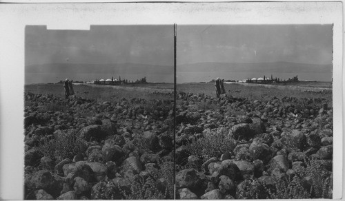 Ruins of homes at Capernaum and eastward outlook across the Sea of Galilee. Palestine