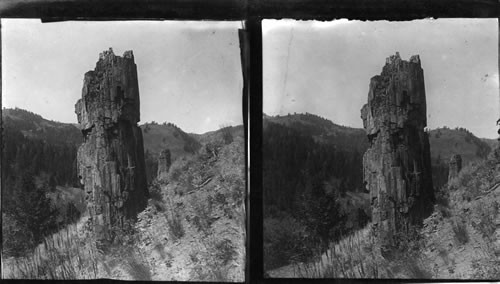 Petrified trees near Yancey's