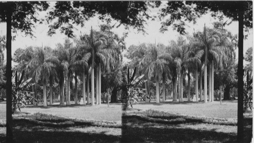 Ozbekyeh Garden, Cairo, Egypt