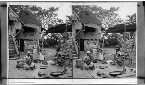 Native Winnowing Rice By Hand, Panacan, P.I. Panacan, city in Palawan Isl. Lat 9, 30' More Or Less Suitable For U S Set - Too Common For Filipinos - Baker