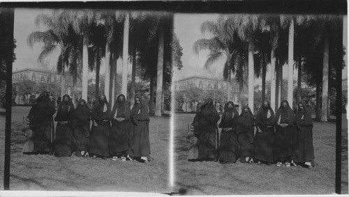 Veiled Women of Cairo, Egypt