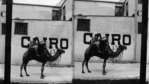 Cairo music at the World's Columbian Exposition