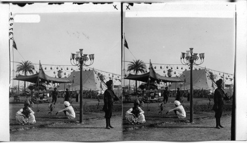 Durbar Tent of Maharoja of Patrola. Delhi, India