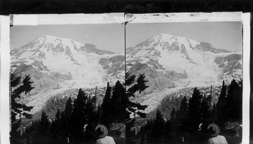 Mt. Rainier and Nisqually Glacier from Camp of the Clouds. Washington