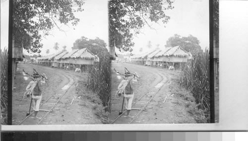 Houses on stilts where laborers' families live - cacao plantation, La Clemetina, Ecuador