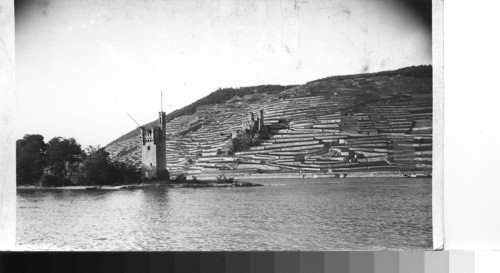 The Mouse Tower, Bingen