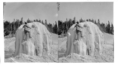 Lone Star Geyser Cone, the Finest in Yellowstone National Park