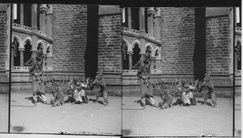 Native Jugglers and Their Trick Monkeys Bombay. India