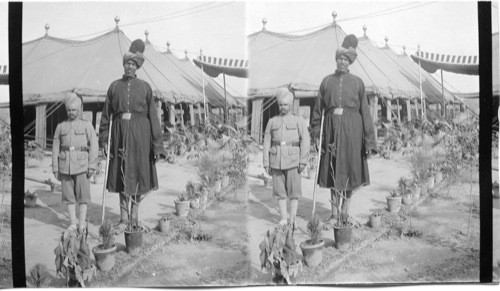 Tent of Mah of Cashmere - Durbar. Delhi. India