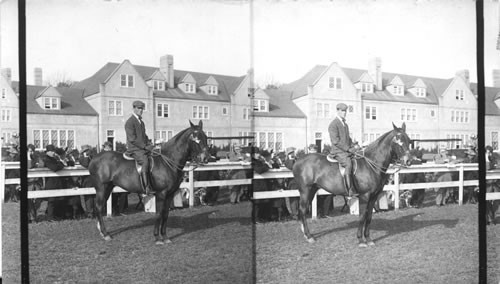 (Horseshow) mouser the champion polo pony. Ridden by H.L. Herbert, Lakewood, N.J