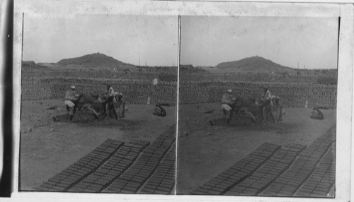 Moulding and Baking Bricks on the Sakkara Plains, Egypt