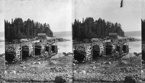 Lobster Pound Showing Construction--Maine