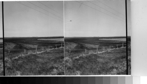 Irrigating rice fields, So. Eastern Texas