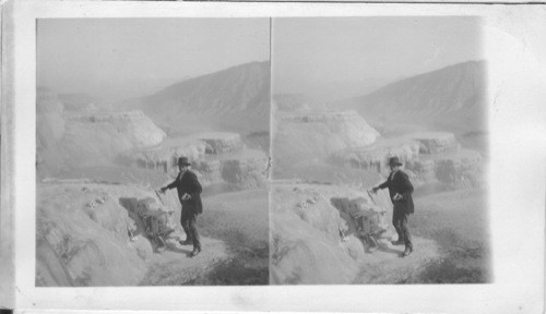 Pulpit Terrace. Coating Springs, Specimen Bill's Factory, Mammoth Hot Springs