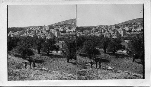 Birds eye view of Hebron from the Southwest. Palestine