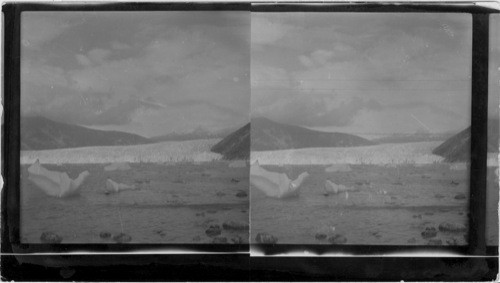 Taku Glacier, Taku Inlet, Juneau, Alaska. Destroy Negative