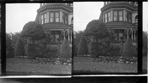 Topiary Garden. Pendray's Gardens, Victoria, B.C