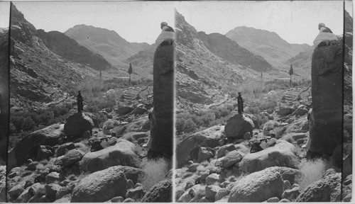 The Martyr’s Monastery between Mountain ridges at Sinai. Egypt